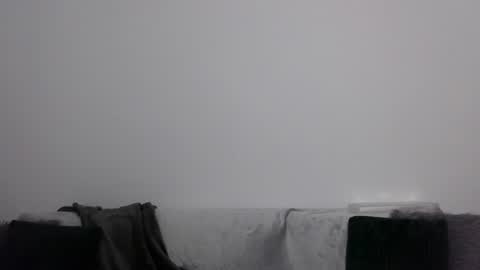 Antonia online show from January 2025 08:02:01 PM