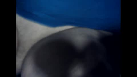 antxon12 online show from January 2026 02:38:01 AM