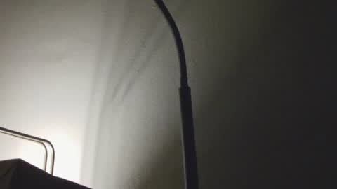 Snapshot of anytime07 chatting on January 2026 07:44:02 AM Daddy online show from January 2026 07:44:02 AM