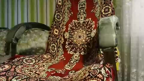 Snapshot of anziglov11 chatting on September 2025 07:30:01 AM anziglov11 online show from September 2025 07:30:01 AM