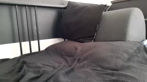 apollobest77 online show from September 2025 10:53:02 AM