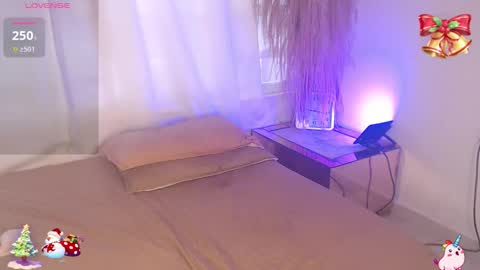          online show from December 2025 02:14:02 PM