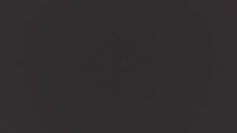 hairycub online show from December 2024 12:47:01 PM