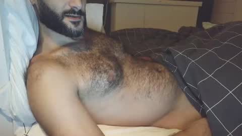 hairycub online show from December 2024 07:34:02 PM