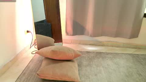 Snapshot of aramjoness chatting on June 2026 01:15:02 PM Aram - Next stream 28-01 online show from June 2026 01:15:02 PM