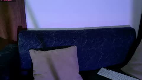 Snapshot of aramjoness chatting on June 2026 11:41:01 AM Aram - Next stream 28-01 online show from June 2026 11:41:01 AM