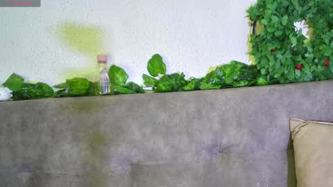 Snapshot of ari_kat666 chatting on December 2024 06:04:01 AM ari online show from December 2024 06:04:01 AM