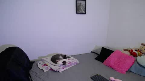  777 online show from February 2026 10:09:01 PM