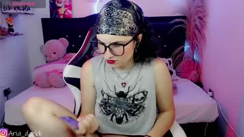 Snapshot of ariadarkk chatting on February 2026 09:20:01 PM Aria online show from February 2026 09:20:01 PM