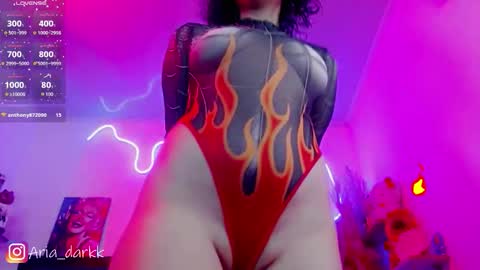 Snapshot of ariadarkk chatting on February 2026 09:11:01 PM Aria online show from February 2026 09:11:01 PM