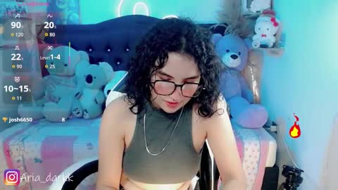 Snapshot of ariadarkk chatting on February 2026 10:10:02 PM Aria online show from February 2026 10:10:02 PM