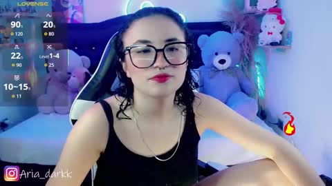 Snapshot of ariadarkk chatting on February 2026 09:12:02 PM Aria online show from February 2026 09:12:02 PM