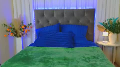 Ariana online show from February 2026 12:09:02 AM