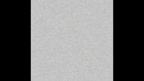 Arianna Collins online show from January 2026 11:48:01 AM