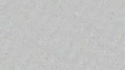 Arianna Collins online show from May 2026 11:49:02 AM