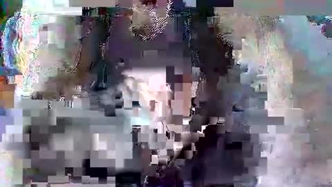 Snapshot of arkadiusz1994 chatting on February 2026 10:22:01 AM Arkadiusz1994 online show from February 2026 10:22:01 AM