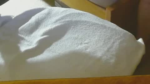 Arnie  online show from December 2024 08:47:02 PM