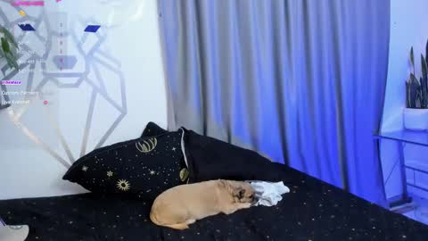 Aron Santoro online show from January 2025 04:31:02 AM