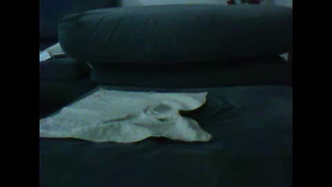 natra online show from January 2025 06:47:01 PM