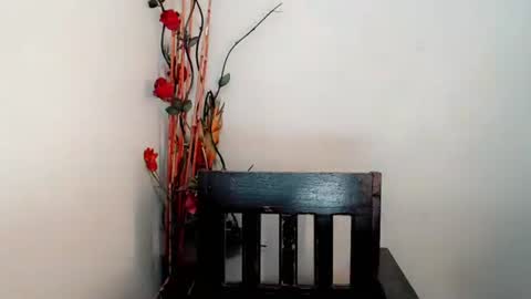 Snapshot of arya_lightning chatting on February 2026 06:01:02 PM ARYA online show from February 2026 06:01:02 PM