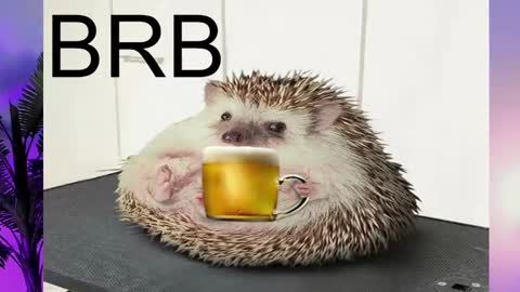 AshleyAshe  online show from February 2025 08:22:01 PM