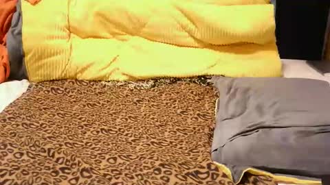 Snapshot of ashlery_ chatting on November 2025 04:18:01 AM ashlery online show from November 2025 04:18:01 AM