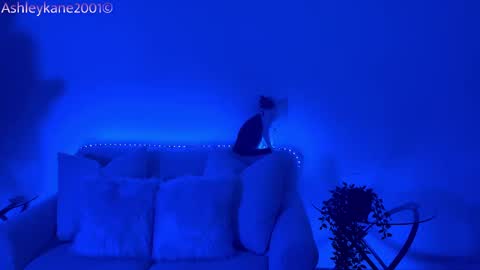 Snapshot of ashleykane2001 chatting on January 2025 04:54:01 AM Ashley online show from January 2025 04:54:01 AM