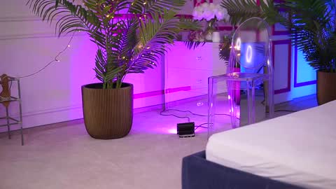 Ashley online show from January 2025 12:49:01 AM