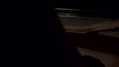 ashlynnblackx online show from April 2026 04:41:01 AM