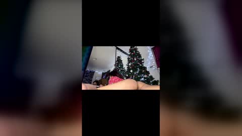 asian_babeee online show from December 2025 01:00:01 AM