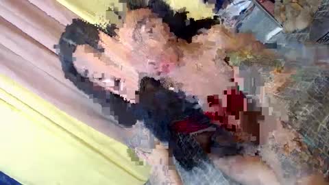 don online show from January 2025 02:58:01 PM