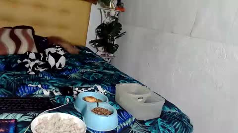 asianladyboy888 online show from November 2025 04:07:02 PM