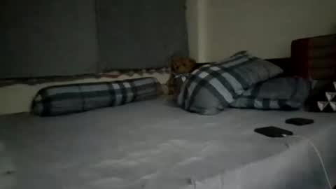 asianthai online show from September 2025 09:27:02 PM