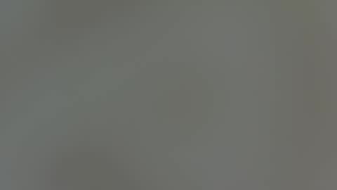 iwantaspen online show from April 2026 07:34:02 PM