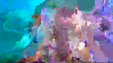 Aspy online show from January 2025 10:46:02 PM