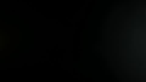 Ashley online show from December 2024 04:02:02 AM