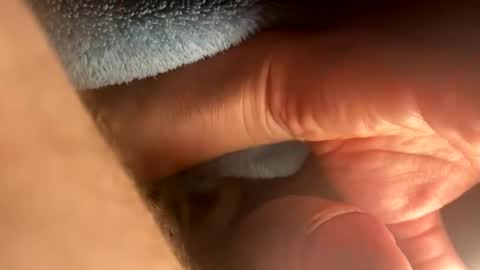 Snapshot of asterwix chatting on September 2025 01:46:01 PM asterwix online show from September 2025 01:46:01 PM