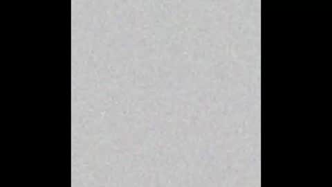 Carolina online show from March 2026 11:54:02 AM