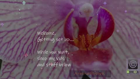 Atrena online show from April 2026 01:00:02 AM