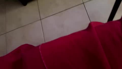 atzkdo online show from April 2026 10:10:01 AM