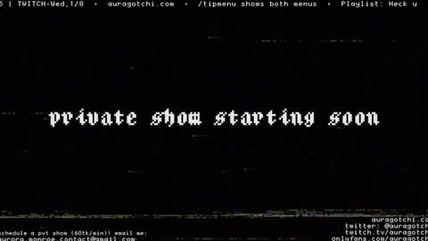 Snapshot of auragotchi chatting on January 2025 11:06:01 PM Aurora Aura online show from January 2025 11:06:01 PM