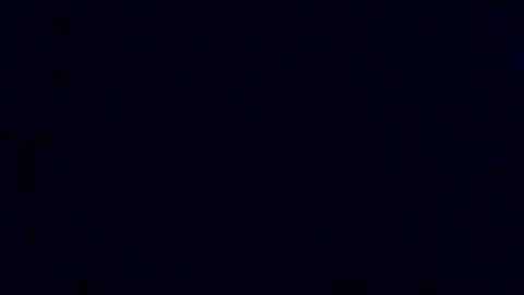 Starr online show from July 2026 02:13:02 PM