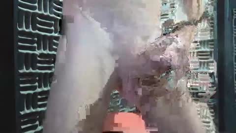 Snapshot of aussieraz chatting on December 2024 08:20:01 AM aussieraz online show from December 2024 08:20:01 AM