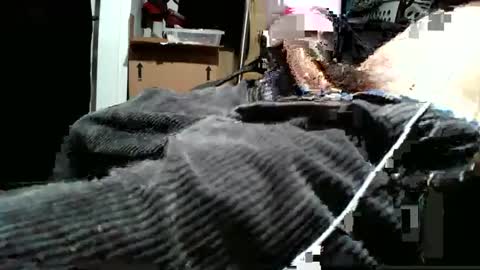 averagecharles757569 online show from October 2025 05:27:02 AM