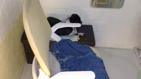 Snapshot of averageuncut1 chatting on September 2025 02:49:02 PM Rhian online show from September 2025 02:49:02 PM