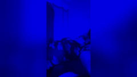 averyjay3 online show from May 2026 11:26:02 AM