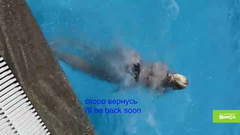 Snapshot of avr0ria chatting on January 2026 05:34:02 AM avr0ria online show from January 2026 05:34:02 AM