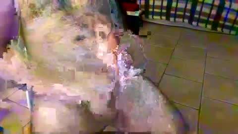 Snapshot of axisbest chatting on October 2025 01:11:01 AM axisbest online show from October 2025 01:11:01 AM