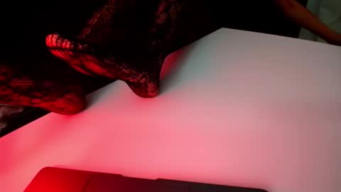 Snapshot of ayla_selim chatting on February 2026 06:26:02 PM Ayla S online show from February 2026 06:26:02 PM