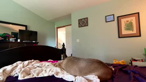 Snapshot of baby_bluu chatting on April 2026 09:45:01 PM blue online show from April 2026 09:45:01 PM